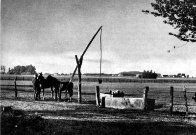 Priča o fotografiji: Najdublji bunari u Vojvodini 